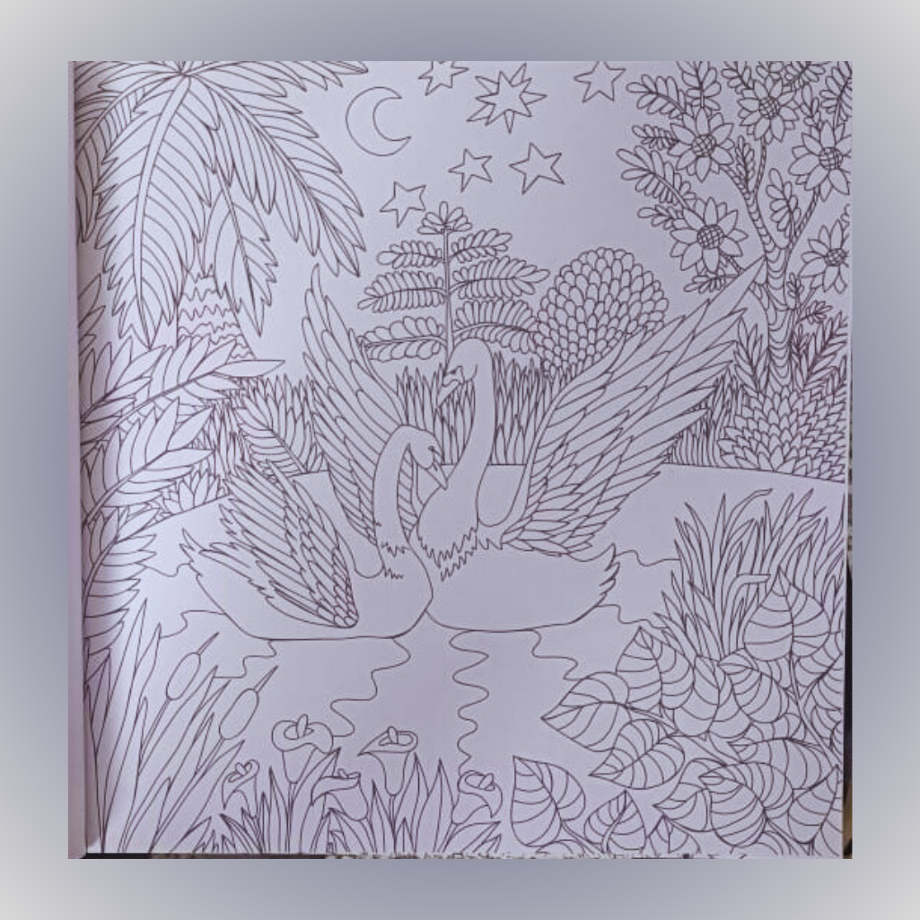 Sawan - Colouring Book