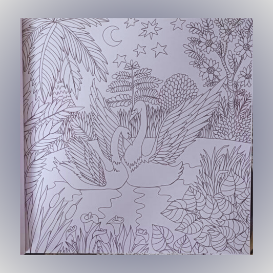 Sawan - Colouring  Book