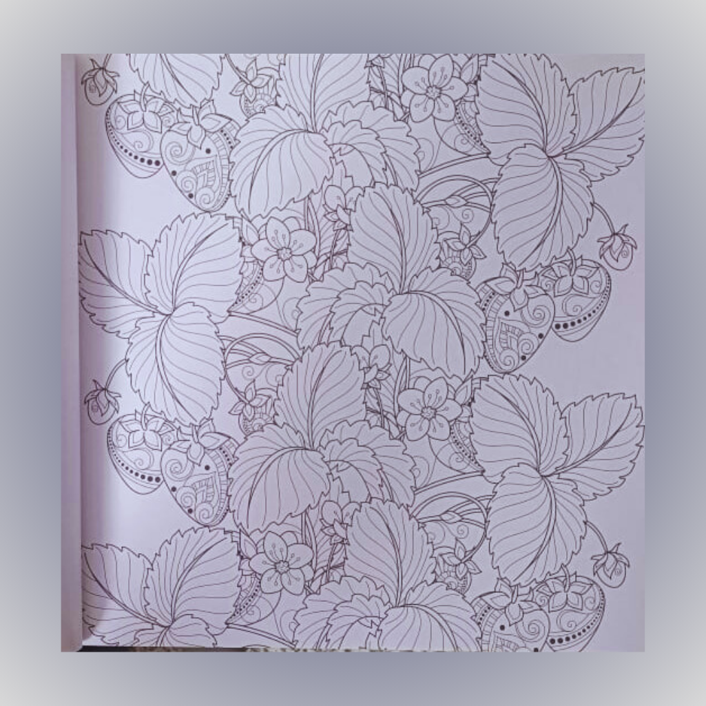 Sawan - Colouring Book