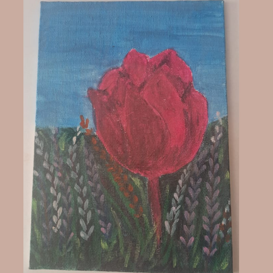 Tulip in Bloom