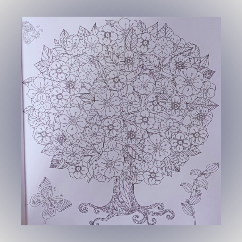 Sawan - Colouring  Book