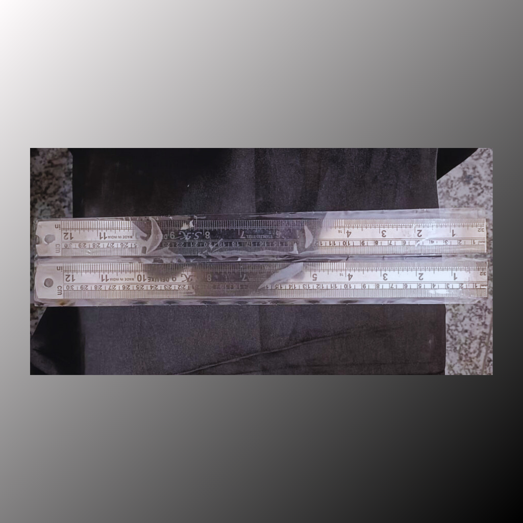 Iron Scale (Set Of 2)