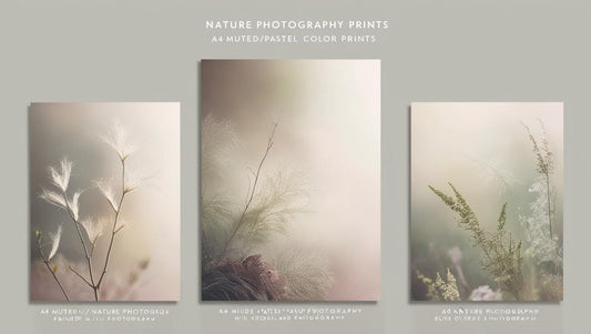 Three Set Of Frame of Flowers