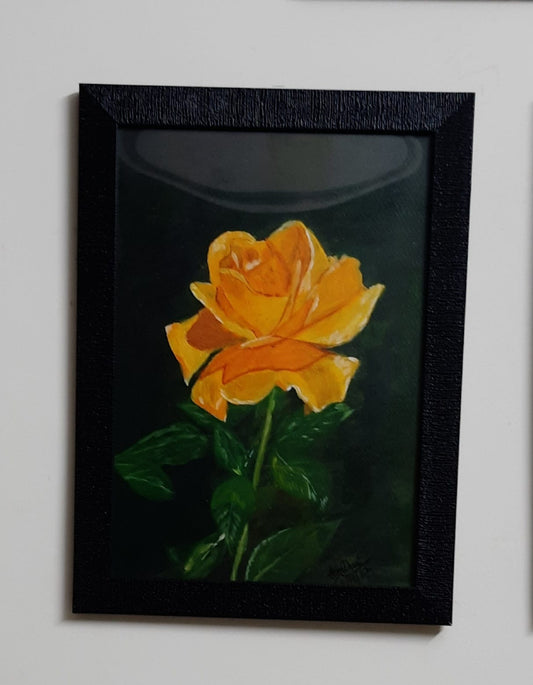 Yellow Rose
