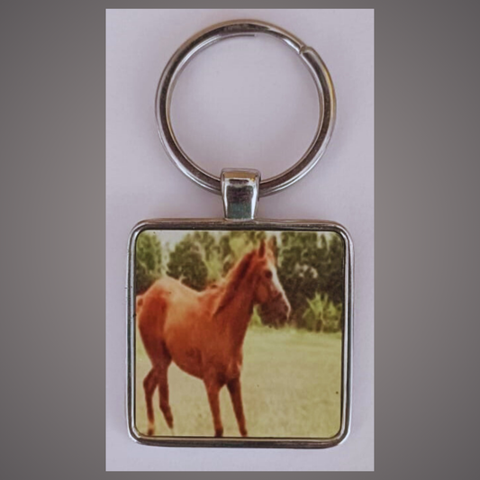 Keychain set