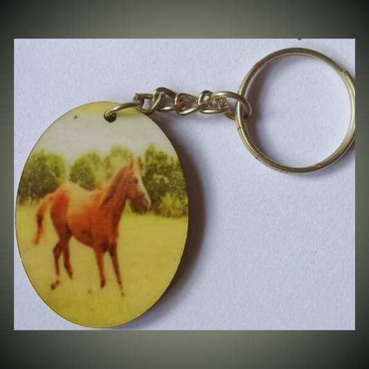 Keychain set