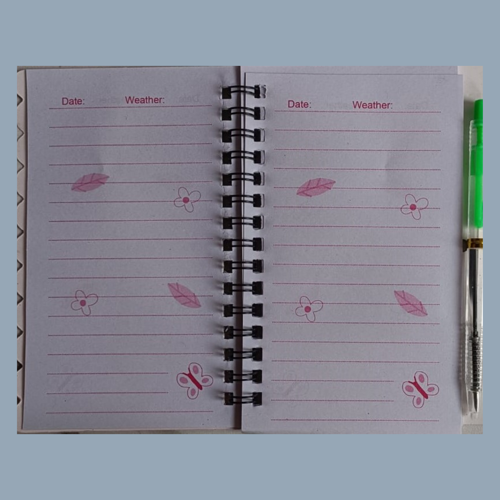 Unicorn- Diary (Set Of 2)